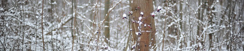 Kevin의 세상사는 이야기